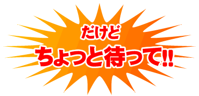 だけどちょっと待って!!